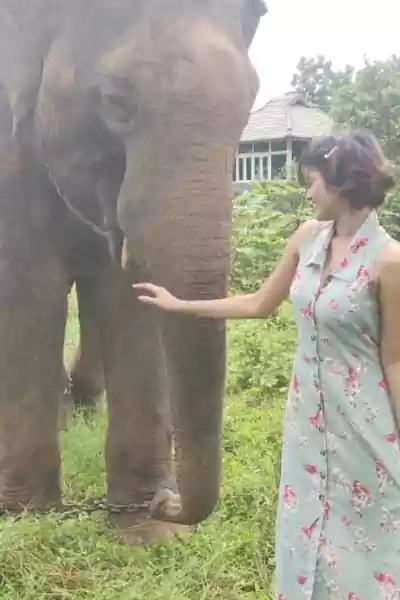 Oviya with an elephant