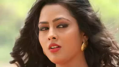 Richa Dixit Net Worth, Age, Wiki, Height & Body Measurements Today