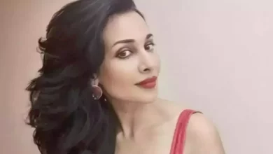 Flora Saini Net Worth, Age, Wiki, Height & Body Measurements Today