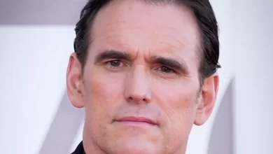 Matt Dillon Net Worth, Age, Wiki, Photos, Awards & Controversy Today