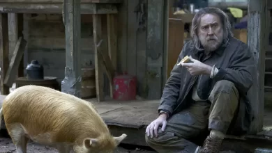 Nicolas Cage Net Worth, Age, Wiki, Photos, Awards & Controversy Today