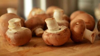 Top Seven Health Benefits of Mushrooms Many of Us are Not Aware Of