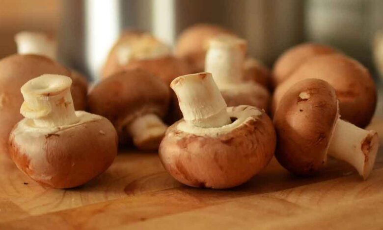 Top Seven Health Benefits of Mushrooms Many of Us are Not Aware Of