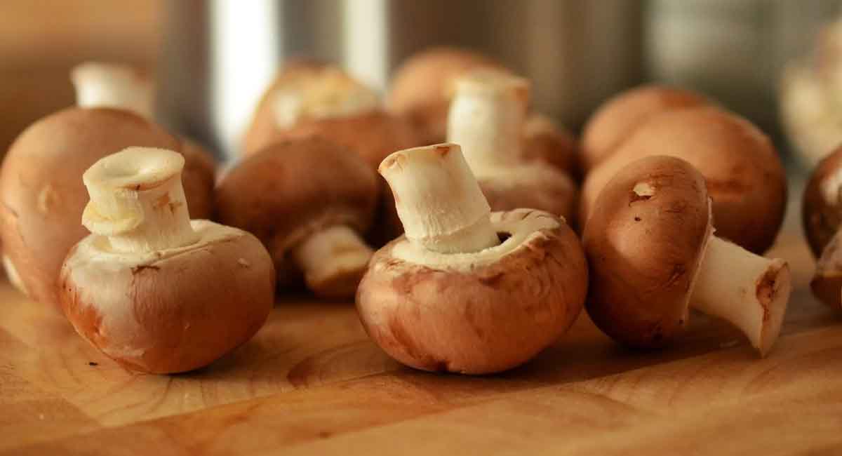 Top Seven Health Benefits of Mushrooms Many of Us are Not Aware Of