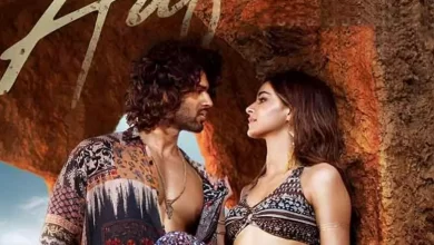 Vijay, Ananya showcase their sensual moves in song 'Aafat'