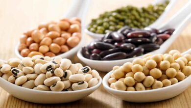 Categorising Foods into Bad and Good for Thyroid Patients