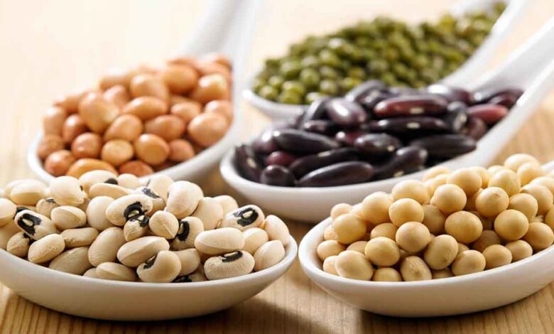 Categorising Foods into Bad and Good for Thyroid Patients