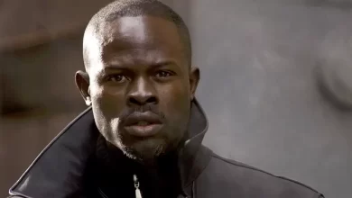 Djimon Hounsou Net Worth, Age, Wiki, Photos, Awards & Controversy Today
