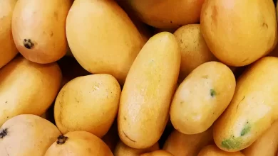 If You Don’t like Oranges, then Here is the List of Seven Fruits that are good Sources of Vitamin C