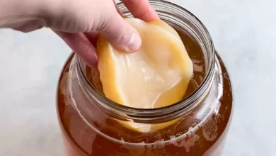 Seven Fermented Foods with Health Benefits for Gut