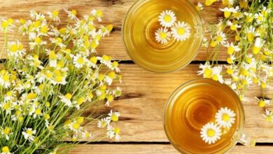 Six Best Food Items to Curb Throat Ulcer