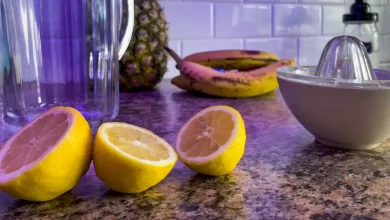 Ten Foods Which are Good for Fertility and Pregnancy