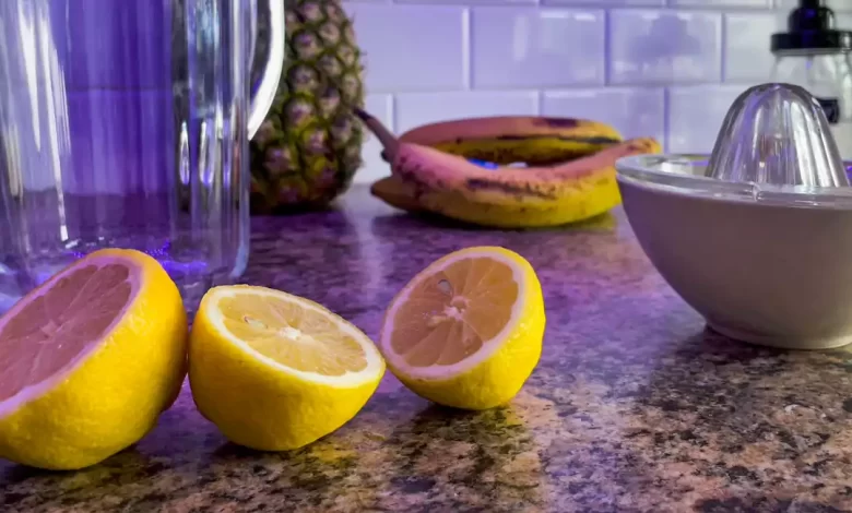 Ten Foods Which are Good for Fertility and Pregnancy