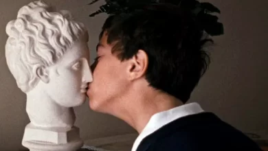 The Metamorphosis of Birds Movie Watch Online Cast, Crew, wiki, story and Synopsis