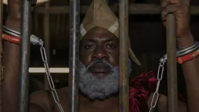 Elesin Oba The King's Horseman Netflix Movie Watch Online Cast, Crew, wiki, story and Synopsis